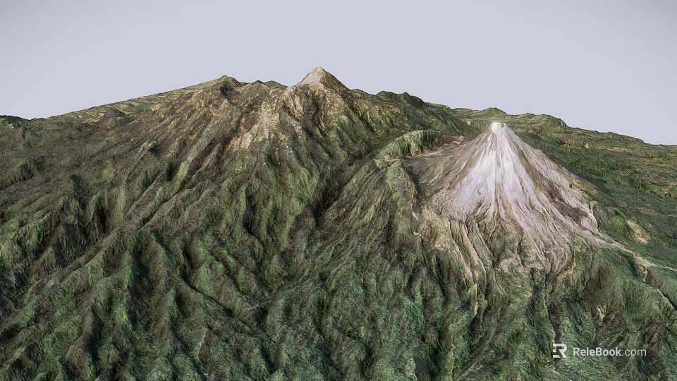 3D Rendered Mountain Landscape With Lush Green Vegetation And White Snowy Peak 3d model 