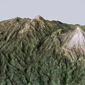 3D Rendered Mountain Landscape With Lush Green Vegetation And White Snowy Peak