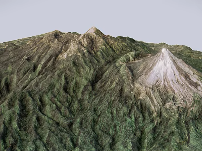 3D Rendered Mountain Landscape With Lush Green Vegetation And White Snowy Peak 3d model