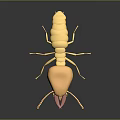 Yellow 3D Model Ant With Large Mandibles And Antennae On Black Background With Reflection