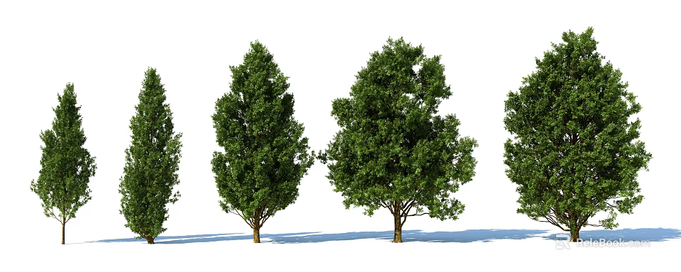 Arbor Varieties With Green Foliage And Tree Trunks For Landscape Design 3d model