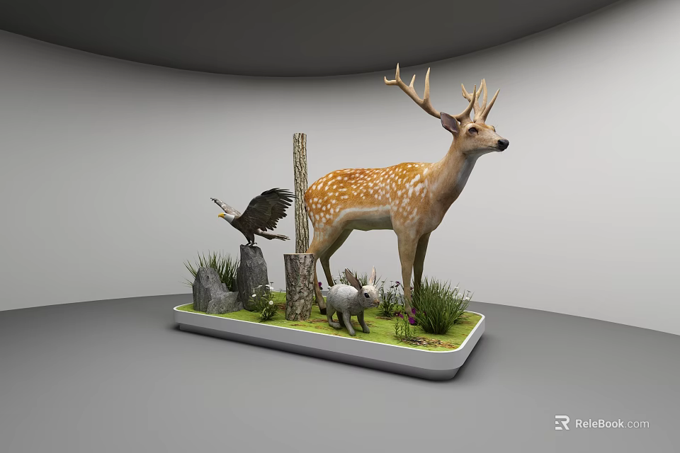 Natural History Museum Animal Specimens Display With Deer Eagle Rabbit And Grass 3d model 