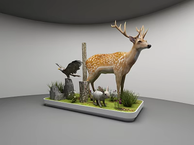 Natural History Museum Animal Specimens Display With Deer Eagle Rabbit And Grass 3d model