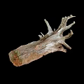Natural Wood Root Branch with Stone Like Texture for Decorative 3d model