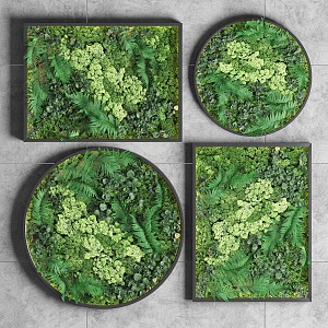 Modern Green Plant Wall Moss Green Plant Wall Decoration 3d model