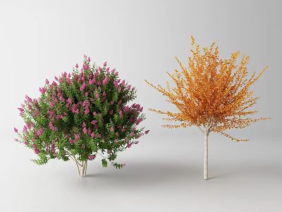 Two Arbor Trees Featuring Pink Flowers Green Leaves And Orange Foliage With Slender Trunks 3d model