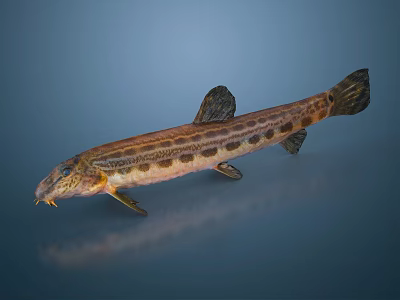 Brown Spotted Aquatic Fish With Elongated Body And Fins On Blue Background 3d model