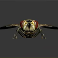 House Fly With Red Compound Eyes Transparent Wings And Striped Body On Dark Reflective Surface