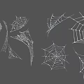 Modern Spider Web 3d model