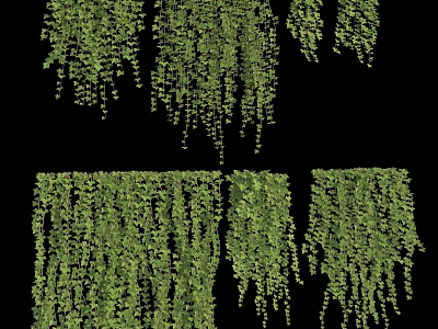 Lush Green Hanging Vines With Dense Cascading Foliage For Natural Decorative Use 3d model