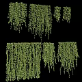 Lush Green Hanging Vines With Dense Cascading Foliage For Natural Decorative Use