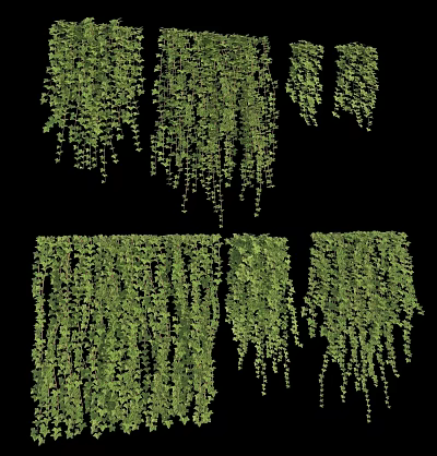 Lush Green Hanging Vines With Dense Cascading Foliage For Natural Decorative Use 3d model