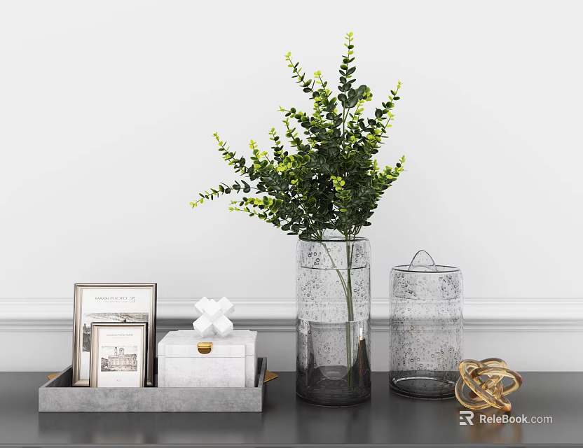Clear Glass Vase With Green Plant Decorative Tray Frames Box And Gold Ring On Countertop 3d model 