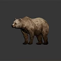 Standing 3D Bear Figurine With Detailed Fur Texture On Gray Background