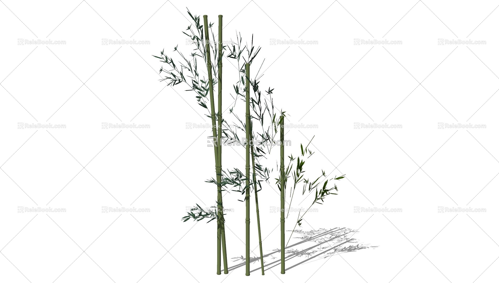 Bamboo 3d model