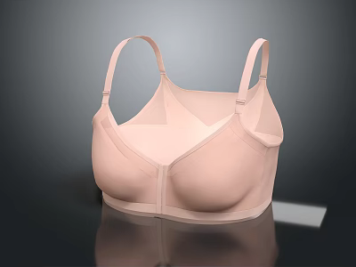 Women's Pink Seamless Soft Smooth Comfortable Support Bra With Front Zipper 3d model