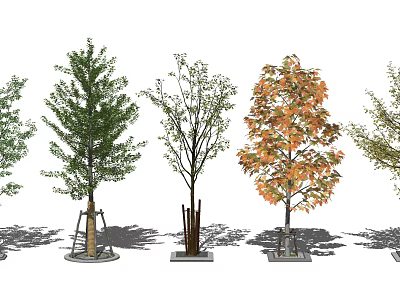 Arboreal Trees With Various Seasonal Foliage Colors And Diverse Morphological Features 3d model