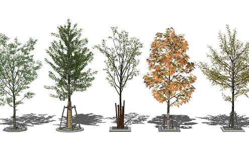 Modern Tree Landscape Tree Street Tree 3d model