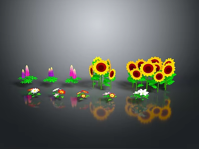 Various Colorful Plants Including Sunflowers Lupines And Daisies With Reflections On Gray Background 3d model