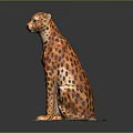 Artistic Cheetah Sculpture With Orange Yellow Body Black Spots Sitting On Square Base