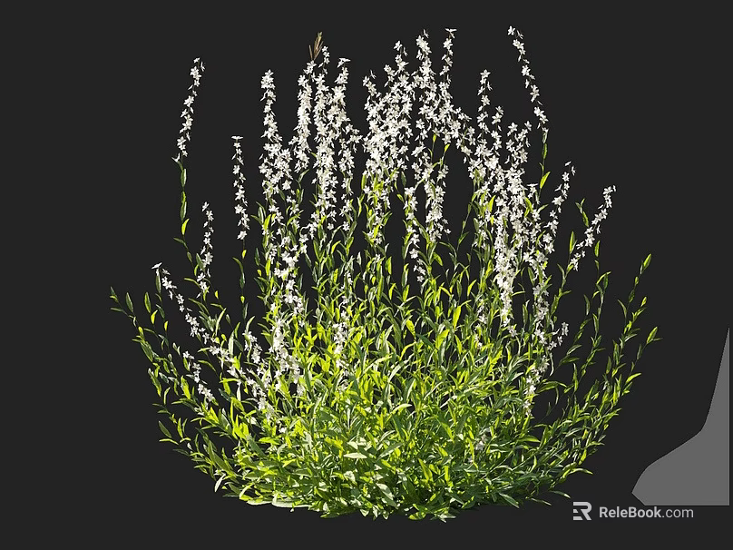 Lush Green Foliage With White Flowers Garden Plant In Natural Growth 3d model 