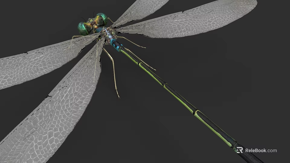 Detailed View of Dragonfly with Transparent Wings Green Body and Compound Eyes 3d model 