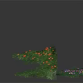 Lush Green Vine And Bush Plants With Orange Fruits And Purple Pink Yellow Flowers