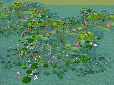 Blooming Lotus Flowers And Green Lily Pads On Calm Pond Water Surface 3d model