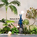 Modern courtyard landscape sketch coconut tree flower mirror plant landscape stone 3d model