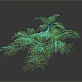 Green Tropical Plants With Lush Palm Leaves And Fern Foliage On Gray Background