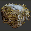 Organic Yellow Vegetable with Cluster of Vibrant Petal Like Segments and Fresh Texture