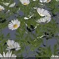 Lush Green Leaf Plant Blooming With White Flowers In Dense Cluster