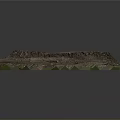 Natural Tree Stump With Small Plants And Moss On Dirt Ground