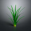 Green Grass With Slender Leaves Upright Growing On Gray Background With Reflection