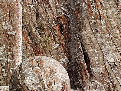 Organic Wooden Decorative Component Showcasing Natural Bark Texture And Spherical Structure 3d model