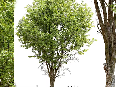 Decorative Garden Ornaments Featuring Various Trees For Outdoor Landscape Design 3d model