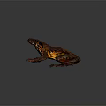Vibrant Brown And Orange Spotted Frog Showcasing Detailed Skin Texture On Dark Background