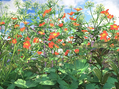 Vibrant Orange Flowers With Lush Green Leaves In Sunlit Natural Garden Space 3d model