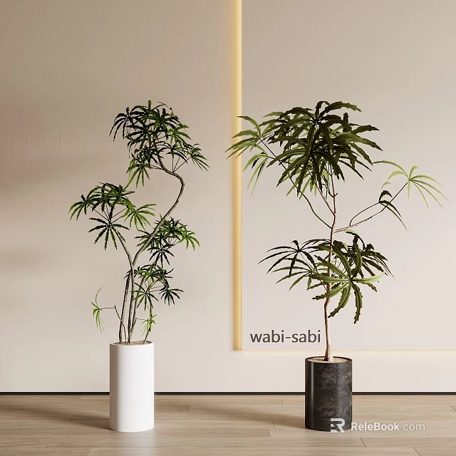Wabi Sabi Style Indoor Bonsai Potted Plants With White And Dark Planters And Lush Foliage 3d model 