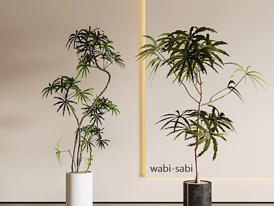 Wabi Sabi Style Indoor Bonsai Potted Plants With White And Dark Planters And Lush Foliage 3d model