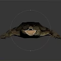 3D Crocodile Model With Open Mouth Shiny Dark Skin Lying On Dark Surface
