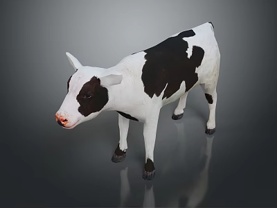 Black and White Calf Model Standing on Gray Background with Reflection 3d model