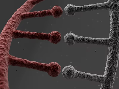Advanced Medical Device for DNA Double Helix Structure Analysis and Research 3d model