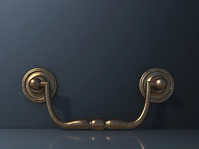 Classic Brass Door Handle With Polished Finish On Dark Door Surface 3d model