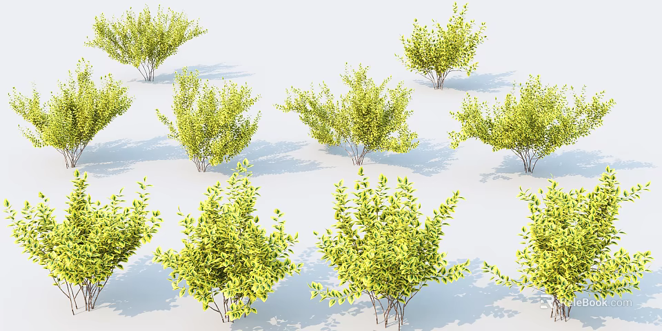Lush Green Shrubs Collection With Various Forms And Shadows On White Background 3d model