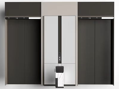 Modern Hotel Elevator Lobby With Black And White Elevator Doors And Decorative Panels 3d model