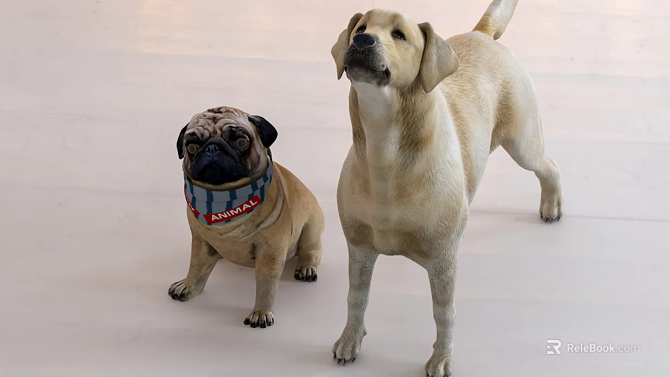 Realistic Sculptures Of Pug And Labrador Dog 3d model 