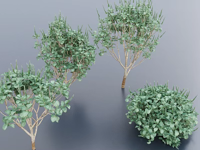 Green Leafy Bushes In Various Shapes With Natural Branch Details 3d model