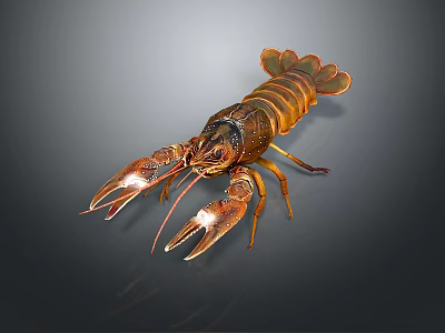 Detailed Fresh Brown Orange Lobster With Large Claws On Dark Background 3d model