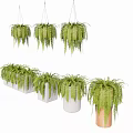 Hanging Basket Green Plants With Ferns In White And Wooden Planters For Indoor Decor